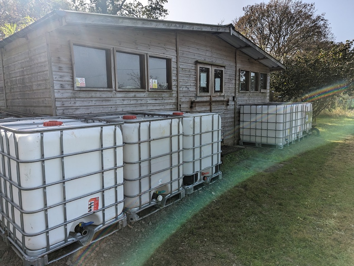 IBCs around the shed